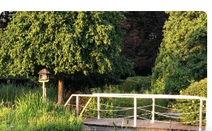 Petit pont sur l'eau