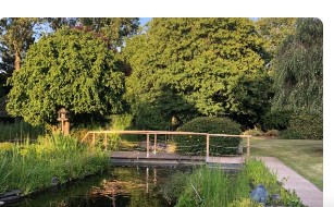 Allée du jardin