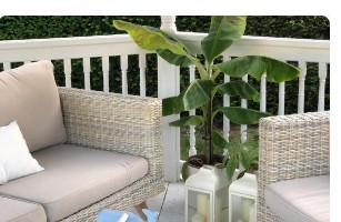 Terrasse en rotin